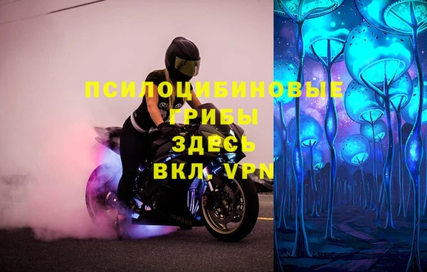 mdpv Богданович