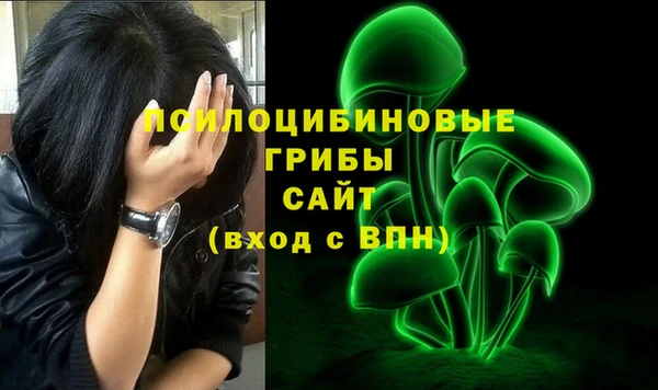 mdpv Богданович