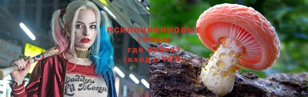 mdpv Богданович